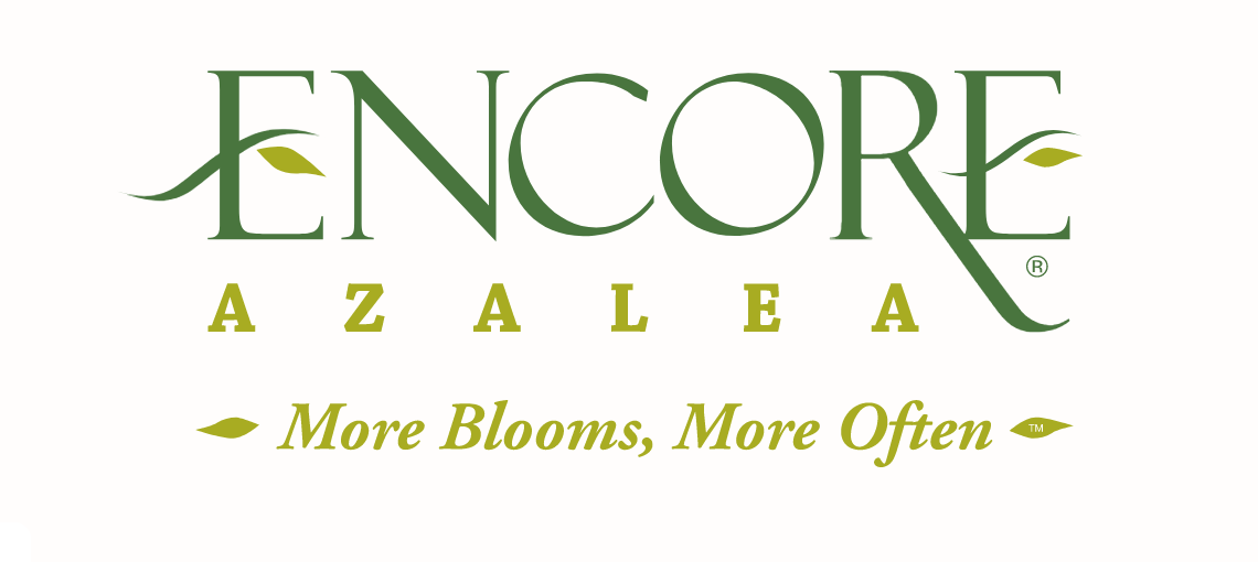 The Encore Azalea® Collection