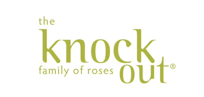 The Knock Out Rose® Family