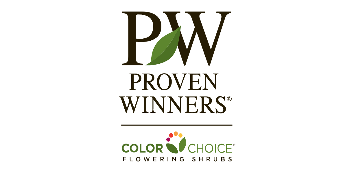 Proven Winners® Color Choice® Shrubs